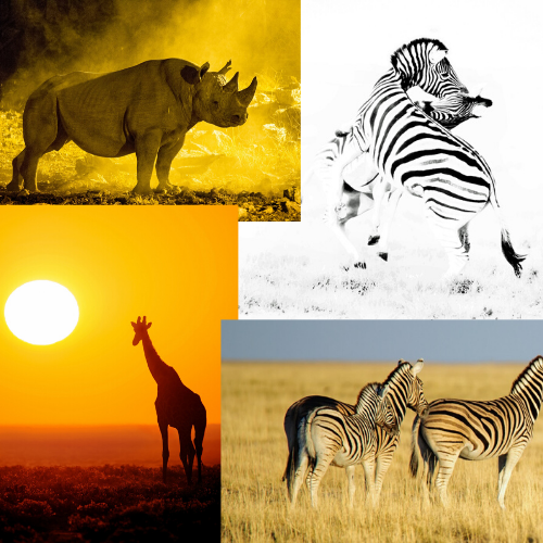 Dirk Theron Photography and tours