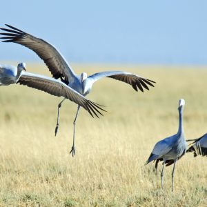 Dirk Theron Photography and tours