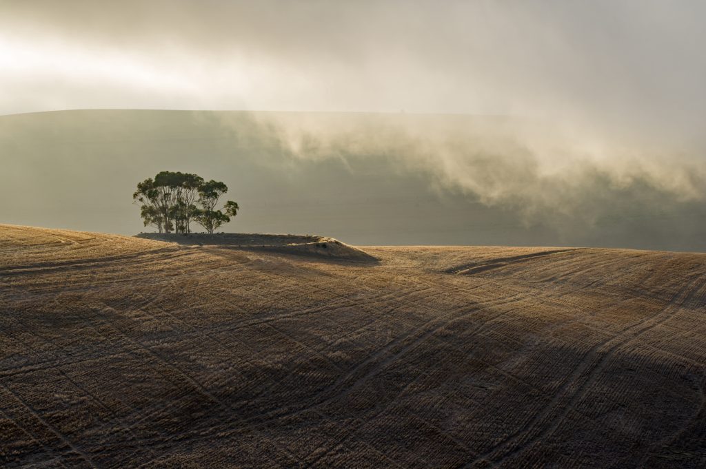 Dirk Theron Photography and tours