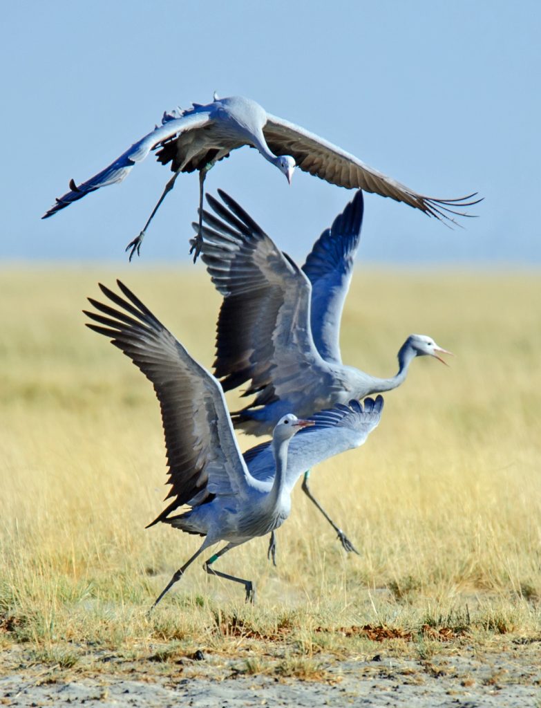 Dirk Theron Photography and tours