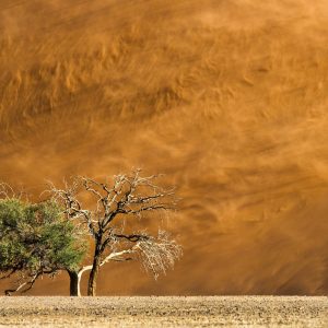 Dirk Theron Photography and tours