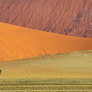 Dirk Theron Photography and tours