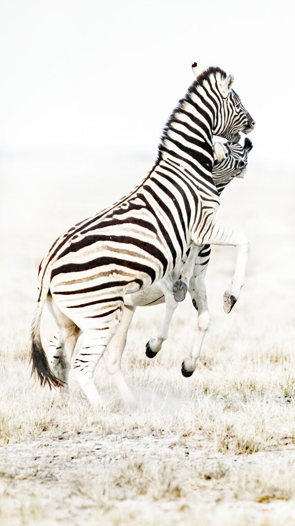 Dirk Theron Photography and tours