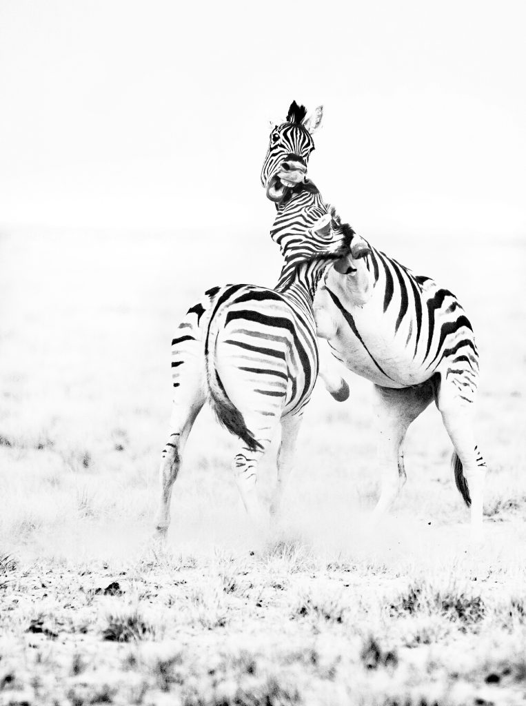 Dirk Theron Photography and tours