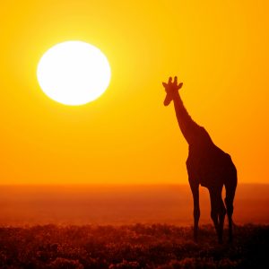 Dirk Theron Photography and tours