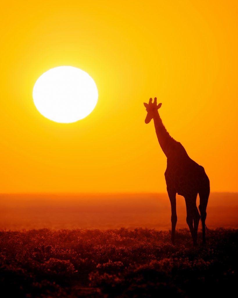 Dirk Theron Photography and tours