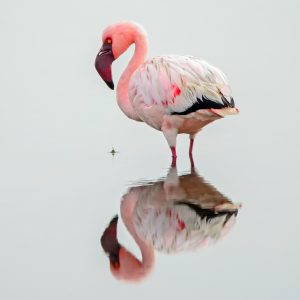 Dirk Theron Photography and tours