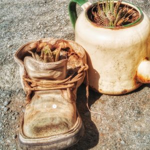 Dirk Theron Photography and tours