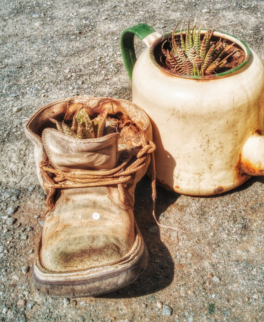 Dirk Theron Photography and tours