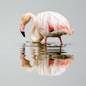 Dirk Theron Photography and tours