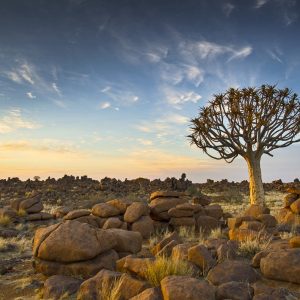 Dirk Theron Photography and tours