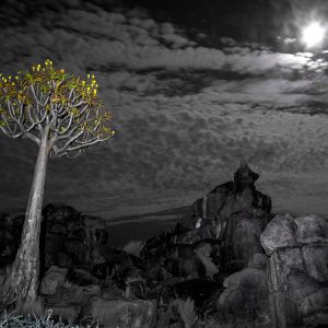 Dirk Theron Photography and tours