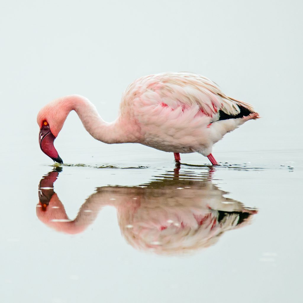 Dirk Theron Photography and tours