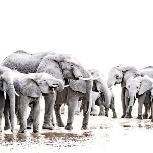 Dirk Theron Photography and tours