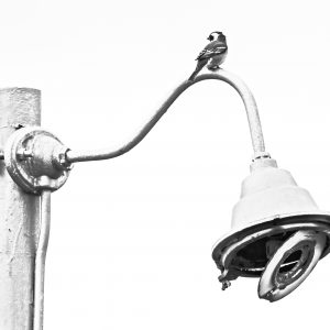 Dirk Theron Photography and tours