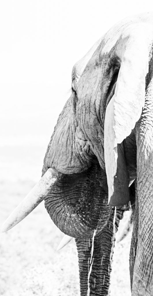 Dirk Theron Photography and tours