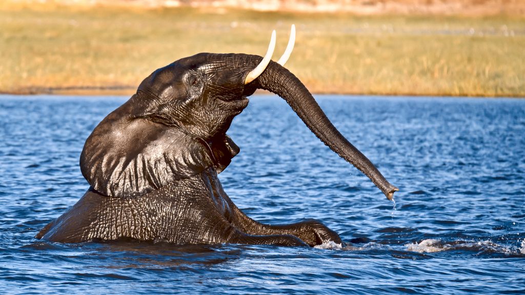 Dirk Theron Photography and tours