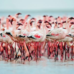 Dirk Theron Photography and tours