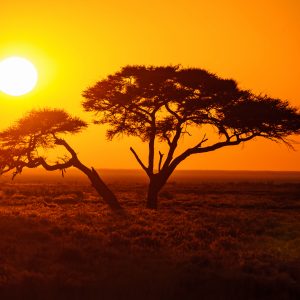 Dirk Theron Photography and tours