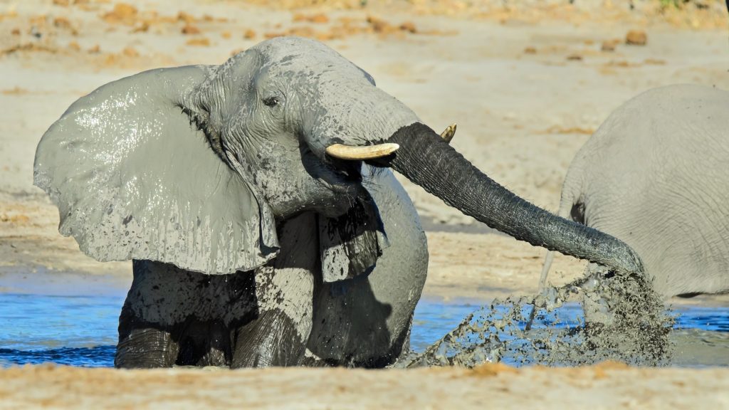 Dirk Theron Photography and tours