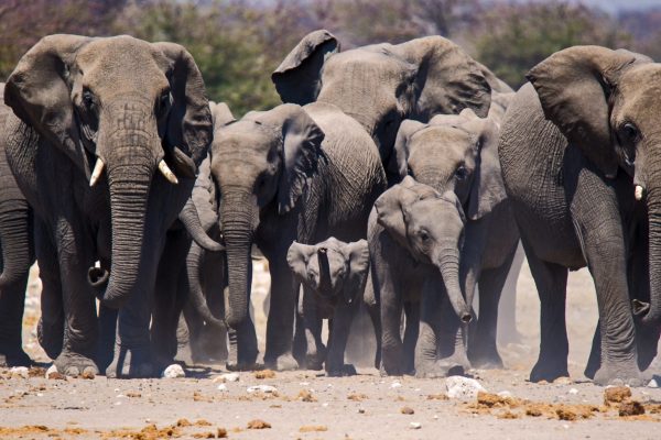 Dirk Theron Photography and tours