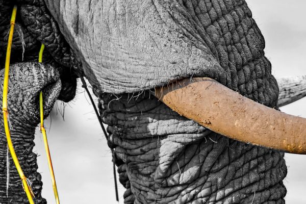 Dirk Theron Photography and tours