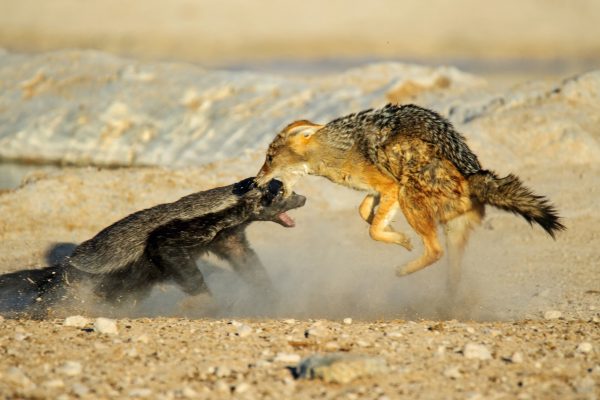 Dirk Theron Photography and tours