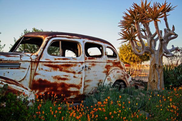 Dirk Theron Photography and tours