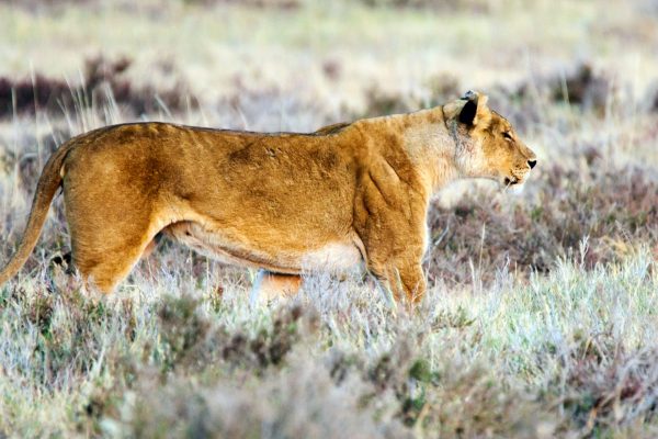 Dirk Theron Photography and tours